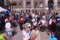 05. září 2012 - Tygří den před libereckou radnicí @ Liberec