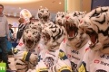 01. prosinec 2012 - Autogramiáda Bílých Tygrů @ OC Nisa Liberec
