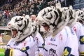 15. března 2013 - Bílí Tygri Liberec vs. HC Energie Karlovy Vary @ Tipsport Arena Liberec